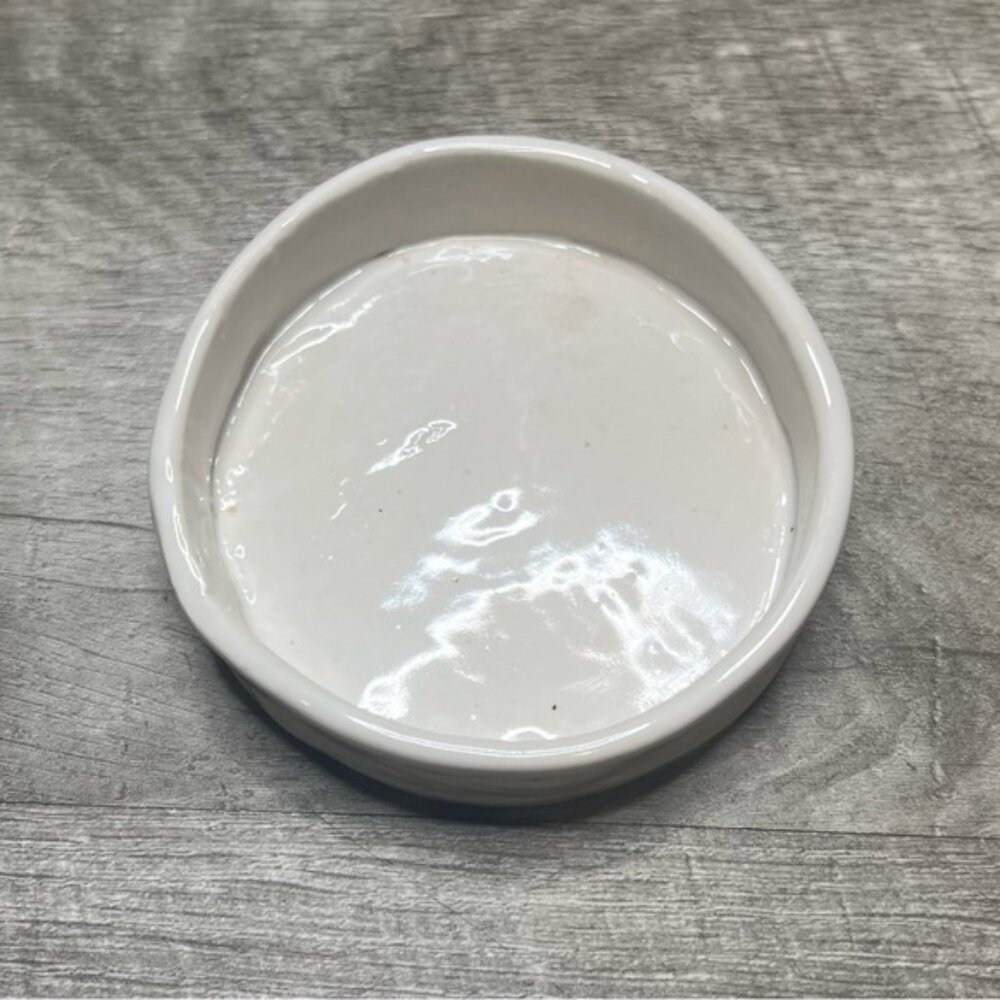 Handmade Circular Ceramic Reptile Dish